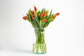 Tulp Oranje, 30 stuks per doos gratis thuis bezorgt