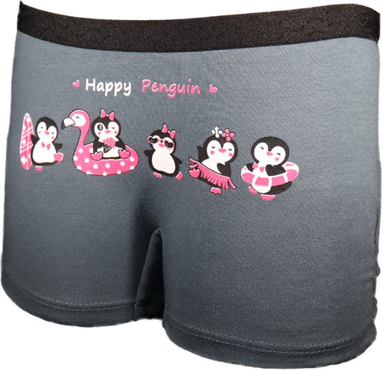 Grijze meisjes boxer met ombré-effect en 'Happy Penguin' print van pinguïns op een surfplank, flamingo en zwemband.
