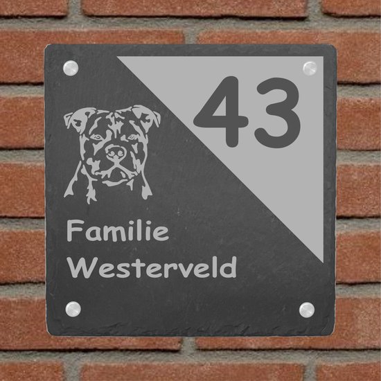 Kadotip !! Naambord Leisteen Familie + huisdier / Gepersonaliseerd naambord/ maat 20 x 20 cm. / incl. RVS bevestigingsmateriaal / Voordeur / Huisnummer / Geschenkgraveren - moederdag - vaderdag - verjaardag - uniek - persoonlijk-