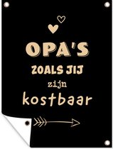 Décoration de Jardin Cadeau Papy - Vaderdag - Sort - 30x40 cm