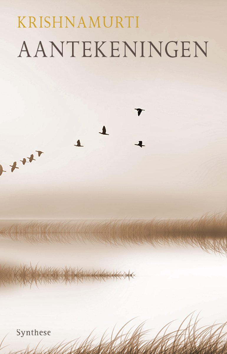 Omslag van Aantekeningen