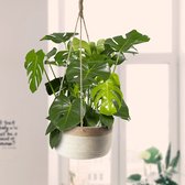 Plantenhanger 30x15cm Bruin/Naturel | Hangende mand | Handgemaakt | Planten-houder / Hang-plant | Planten Accessoires | Hangmand