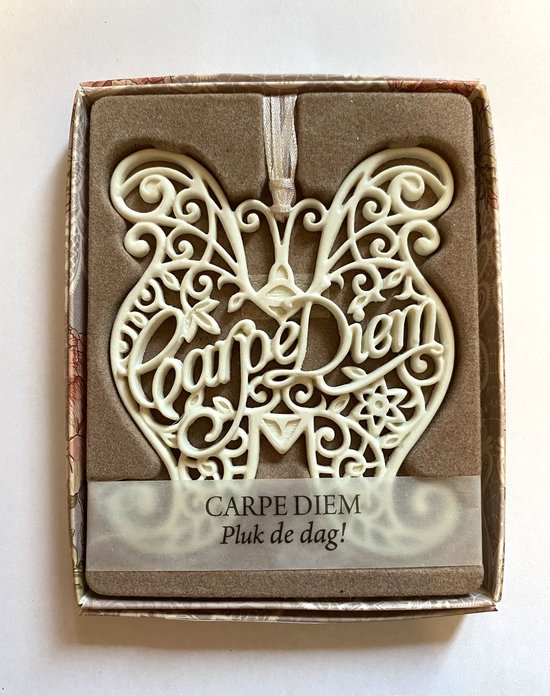 H&&H Inspirerende woorden hanger "Carpe Diem" Gift in Vlindervorm