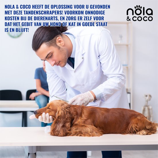 Nola & Coco Honden Tandsteen Verwijderaar Set - Effectieve Reiniging Voor Tandvleesproblemen - Met Bewaardoosje - Nola & Coco