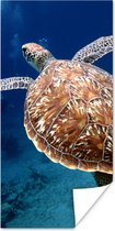 Poster Zeeschildpad fotoprint - 60x120 cm