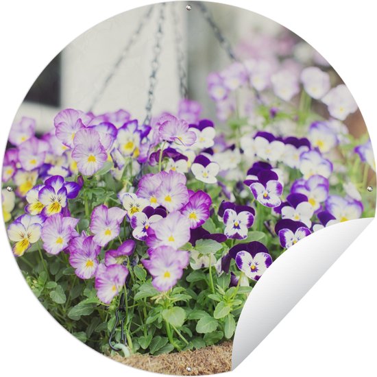 Tuincirkel Kleurrijke violen in een hangende pot - 90x90 cm - Tuinposter