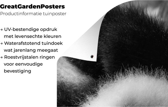 Tuinposter 30x60 cm - Tuindecoratie Dierenprofiel rollende panda in zwart-wit - Poster voor in de tuin - Buiten decoratie - Schutting tuinschilderij - Tuindoek muurdecoratie - Wanddecoratie balkondoek
