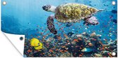 Tuinposter Schildpad bij koraalrif - 80x40 cm - Wanddecoratie Buiten - Tuinposter - Tuindoek - Schuttingposter - Tuinschilderij