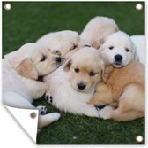Tuindoek Dieren - Puppy's - Honden - 100x100 cm