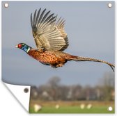 Tissu de jardin Faisan - Ressorts - Ailes - 100x100 cm