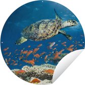 Tuincirkel Koraalrif met schildpad - 120x120 cm - Ronde Tuinposter - Buiten XXL / Groot formaat!