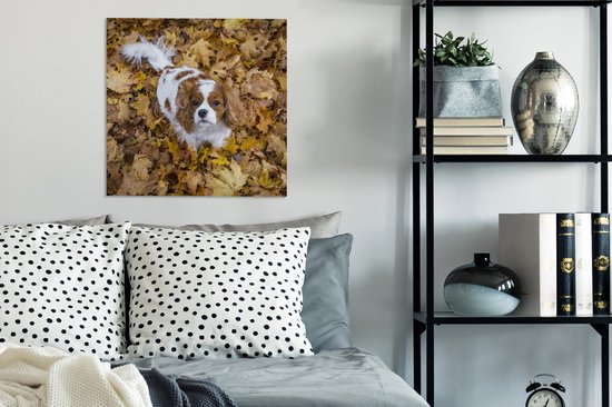 Cavalier King Charles Spaniel sous les feuilles d'automne Toile 50x50 cm - Tirage Photo sur Toile Peinture (Décoration murale Salon / Chambre) / Animaux domestiques Peintures sur Toile