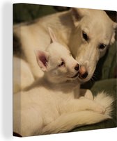 Canvas Schilderij Moeder met puppy - 90x90 cm - Wanddecoratie