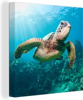 Canvas Schilderij Zwemmende schildpad fotoafdruk - 50x50 cm - Wanddecoratie