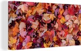 Toile Peinture Feuilles d'Automne - 80x40 cm - Décoration murale