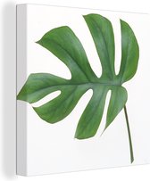 Canvas Schilderij Botanisch blad op een witte achtergrond - 90x90 cm - Wanddecoratie
