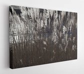 Onlinecanvas - Schilderij - Sea Oat Grass Art Horizontaal Horizontal - Multicolor - 50 X 40 Cm