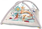 babygym speelmat met boog deluxe playmat