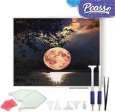 Pcasso® Maan Water - Diamond Painting - Incl. Veel Diamond Painting Accessoires - Diamond Painting Kinderen - Diamond Painting Dieren - Diamond painting volwassenen - 30x40 CM