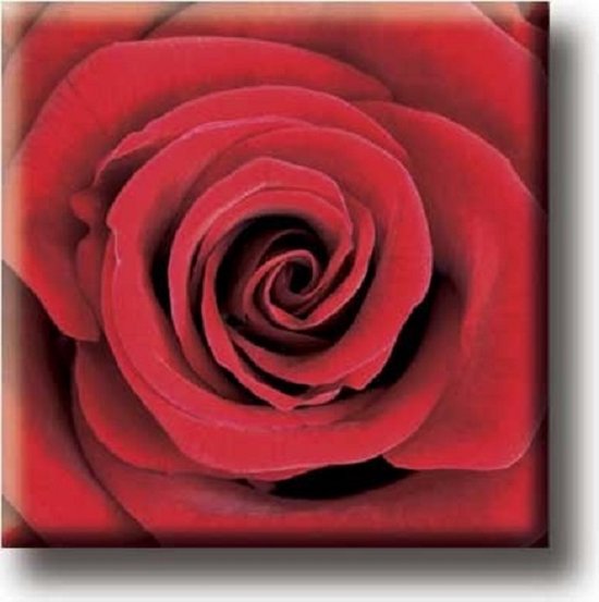 Un joli aimant de frigo ! L'image de l'aimant est une rose rouge spéciale.  Cet article
