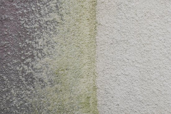 Algenverwijderaar - 5L / 300m2 - Verwijderd, bestrijdt en voorkomt groene aanslag, algen en mosgroei op metselwerk, hout, beton & glas - Geen schadelijke nawerking en dampwerking - Sipro Uniquat — afbeelding 3