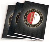Schriften Feyenoord Grijs - 3 Stuks A5 Gelijnd