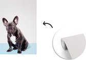 Behang - Fotobehang Franse Bulldog - Portret - Zwart - Breedte 190 cm x hoogte 280 cm