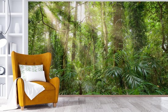 Papier peint - Papier peint photo Lumière dans la forêt - Largeur 360 cm x hauteur 240 cm