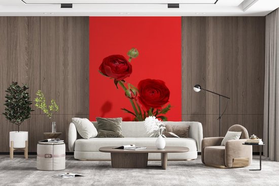 Papier peint photo vinyle - Renoncules rouges sur fond rouge largeur 200 cm x hauteur 300 cm - Tirage photo sur papier peint (disponible en 7 tailles)