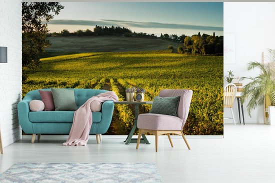 Papier peint photo en vinyle - Un vignoble près de la Sienne toscane largeur 450 cm x hauteur 300 cm - Tirage photo sur papier peint (disponible en 7 tailles)