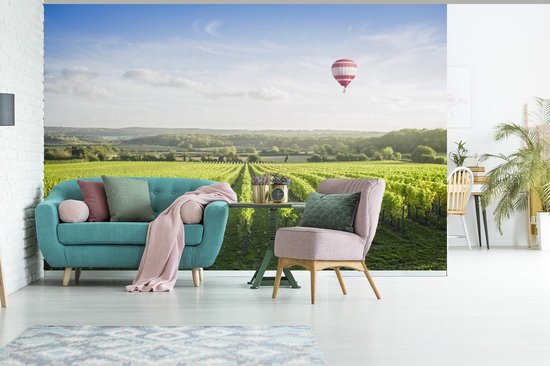 Papier peint photo vinyle - Raisins à la campagne avec une montgolfière largeur 600 cm x hauteur 400 cm - Tirage photo sur papier peint (disponible en 7 tailles)
