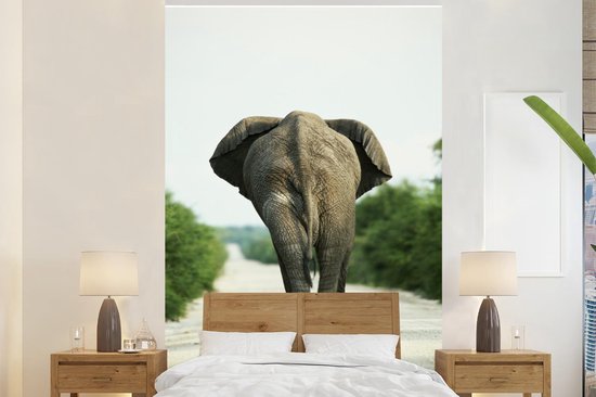 Papier peint - Papiers Papier peint photo Dos d'éléphant - Largeur 200 cm x Hauteur 300 cm