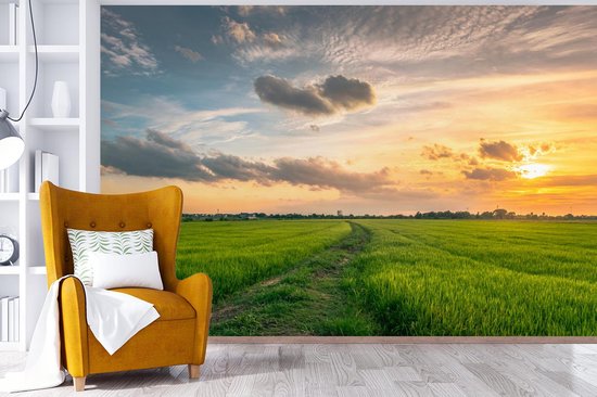 Papier peint Papier peint photo en vinyle - Coucher de soleil sur la campagne largeur 390 cm x hauteur 260 cm - Tirage photo sur papier peint (disponible en 7 tailles)