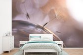 Behang - Fotobehang Paardenbloem zaden - Abstract - Lucht - Breedte 360 cm x hoogte 240 cm