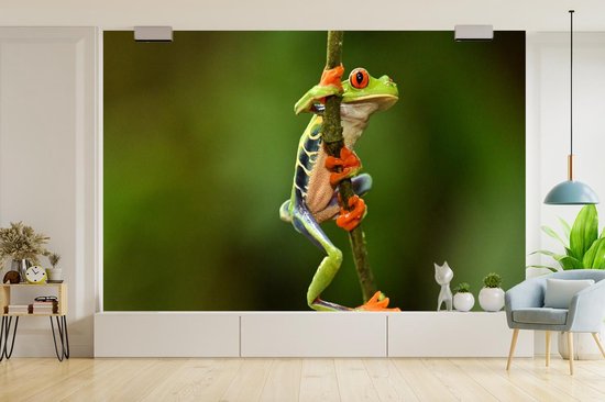 Papier peint Papier peint photo en vinyle - Grenouille ara aux yeux rouges dans la jungle largeur 330 cm x hauteur 220 cm - Tirage photo sur papier peint (disponible en 7 tailles)
