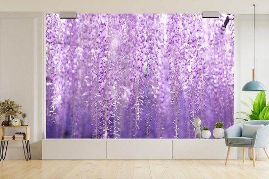 Papier fotobehang glycine fanée