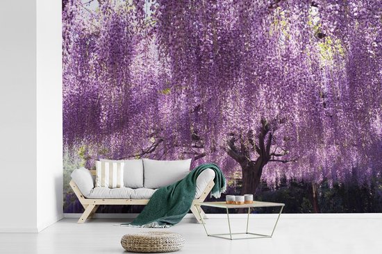 Blooming fotobehang de glycines