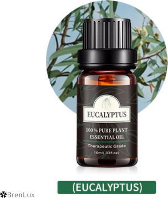 ✿Brenlux® Etherische olie Eucalyptus Puur etherische olie 10ml 100% zuiver olie – Adem vrij etherische olie Etherische olie voor bad & huis…