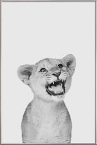 JUNIQE - Poster met kunststof lijst Leeuwenwelp - zwart-wit fotografie