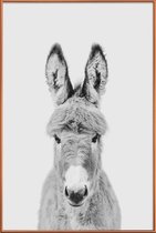 JUNIQE - Poster met kunststof lijst Donkey Classic -20x30 /Wit & Zwart