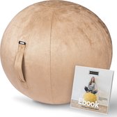 Fruscle® 65 cm Zitbal - Ergonomische bureaustoel - Thuiskantoor zitzak - Rugpijn - met Ebook