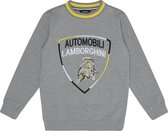 Automobili Lamborghini sweater grijs Lamborghini shield maat 170/176