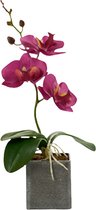 Ibergarden Kunstplant Orchidee 17 X 8 X 27 Cm Paars/grijs