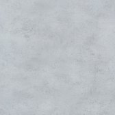 Vloer-/Wandtegel Cement Grijs | Mat | 60x120 cm