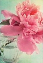 Een blanco wenskaart met een afbeelding van een prachtige roze bloem in een glazen vaasje. Een dubbele wenskaart inclusief envelop en in folie verpakt.