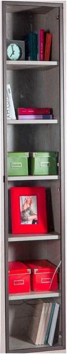 HOGE DEUR DISEGNO KLEURLOOS/GRAFIET GLAS