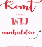 Kaarten - Kerst - Kom laten wij aanbidden - Christelijk - Bijbel - Geloof - DNA Media - 7 stuks