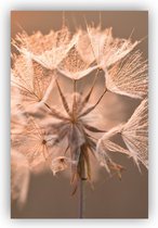 Poster Winterbloem - 20x30cm - rechthoek - Forex