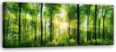 Trend24 - Canvas Schilderij - Zonnestralen In Het Bos - Schilderijen - Natuur - 150x50x2 cm - Groen