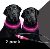 Beesafe 2-Pack Dogband USB - hardloopverlichting - roze